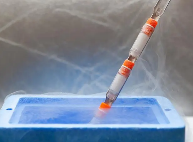 細(xì)胞凍存 細(xì)胞凍存