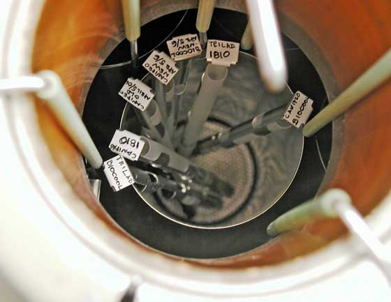 樣品凍存 樣品凍存